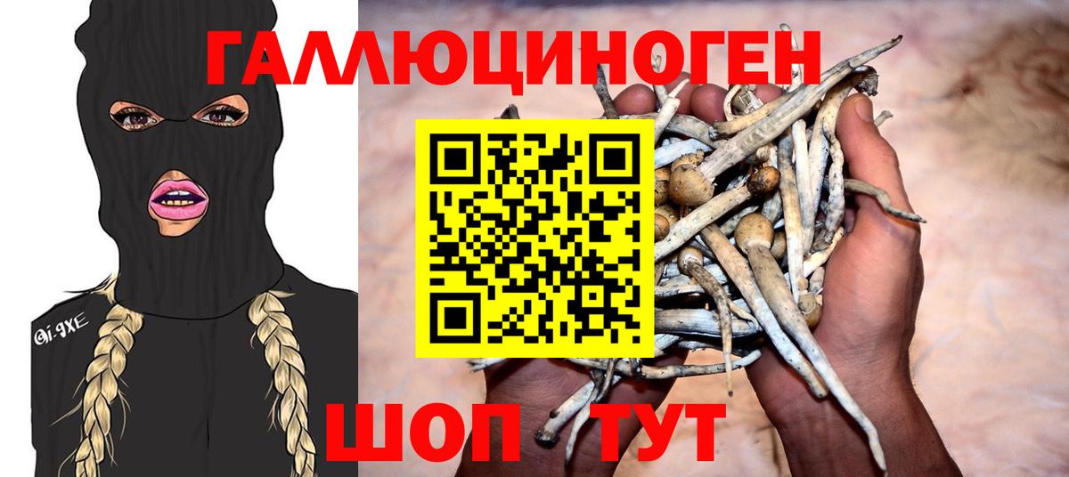 Галлюциногенные грибы Magic Shrooms  что такое наркотик  Псилоцибиновые грибы Magic Shrooms  Лабытнанги  Вход с VPN 